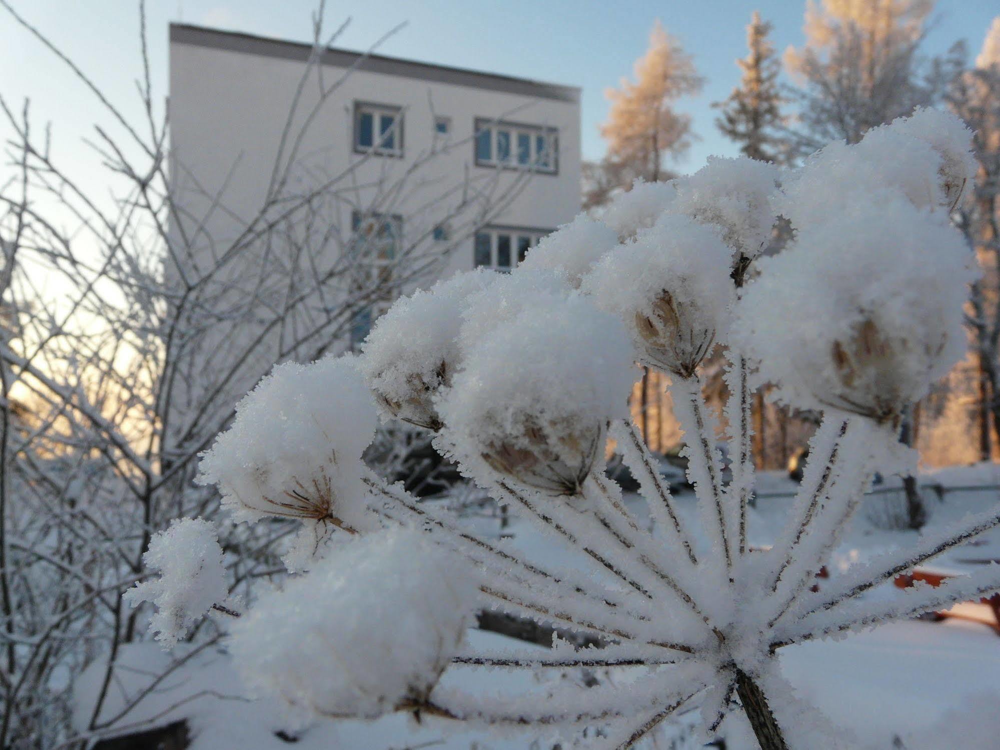 Vila Emma Štrbské Pleso Buitenkant foto